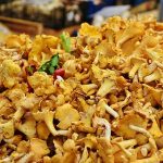 Aloittelijan ruokasienet kantarelli